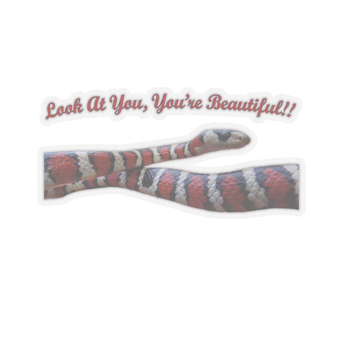 Catchphrase Kingsnake Kiss-Cut Stickers — image 4